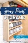 easy DIY spray paint storage with plans